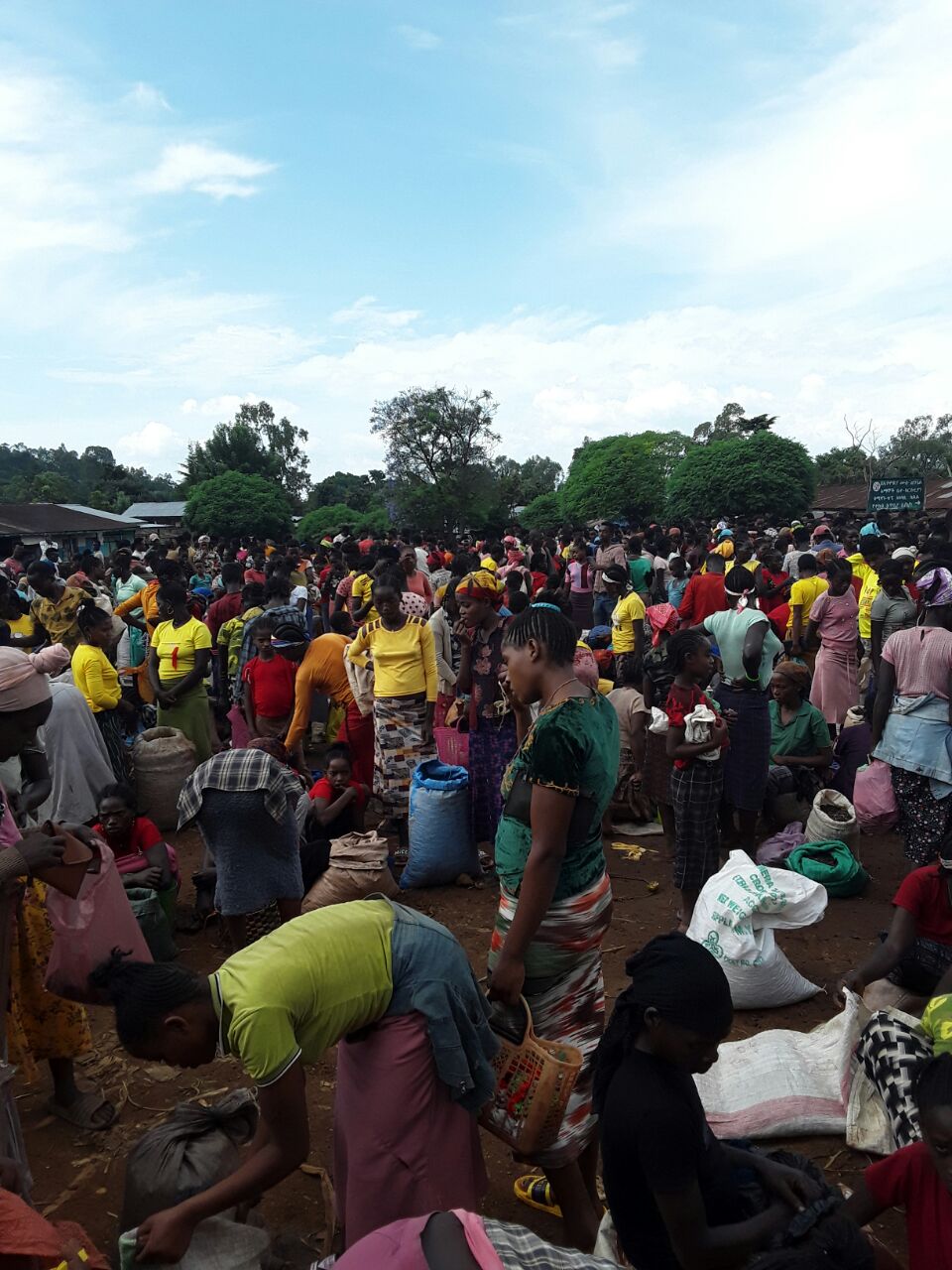 A Rapid Impact Assessment for Rural Poor Stimulus Facility (RPSF)